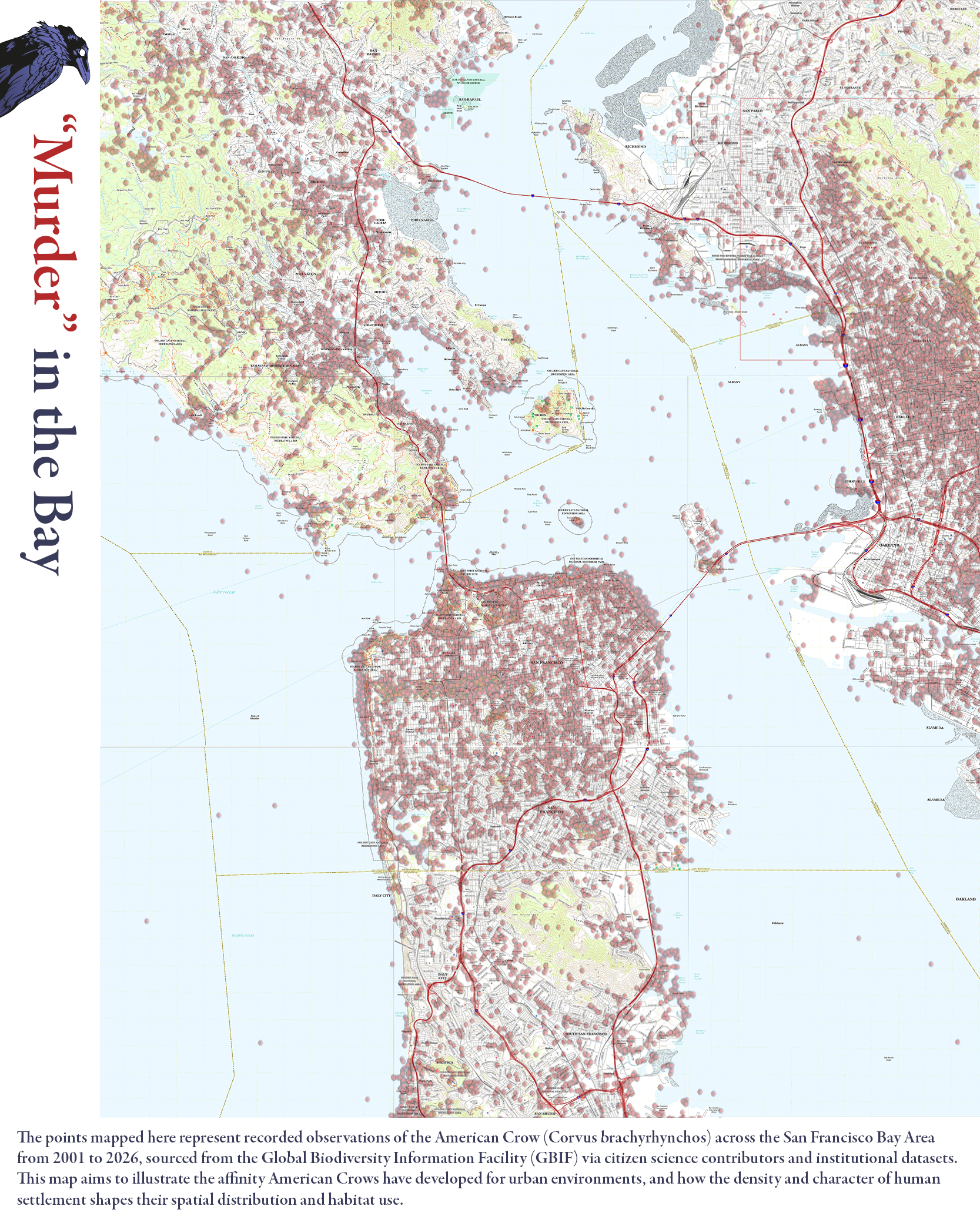 Murder in the Bay snapshot